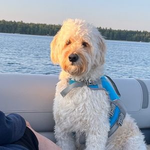 Meet your Posher, Hailey